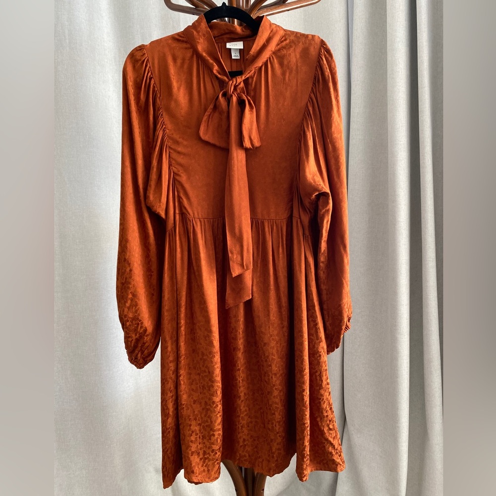 Vintage Style Long Sleeve Dress in color Cooper.